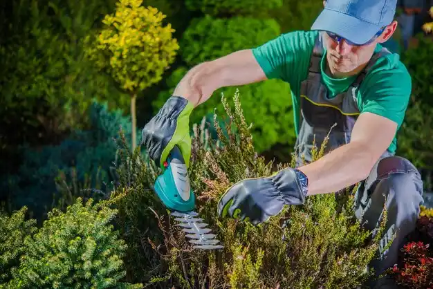 landscaping services Hackberry